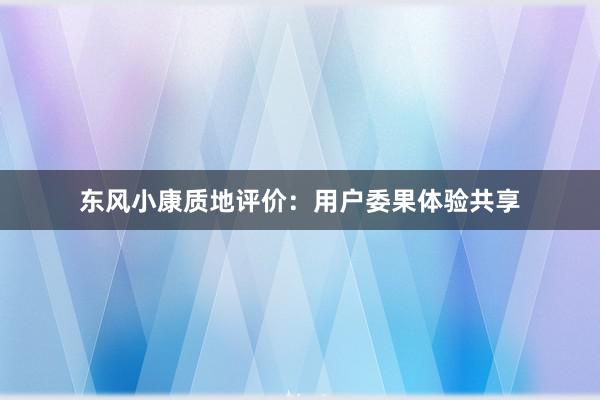 东风小康质地评价：用户委果体验共享