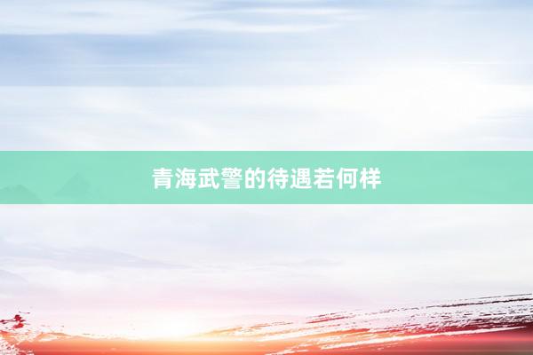 青海武警的待遇若何样
